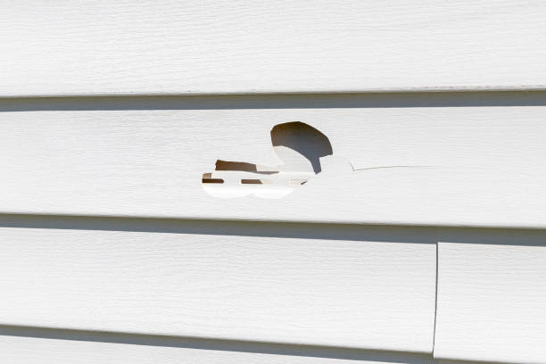 How To Choose The Right Materials for Your Siding Installation in 'Placentia, CA